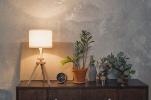 Tips for Creating a Cozy and Inviting Home Atmosphere on a Budget